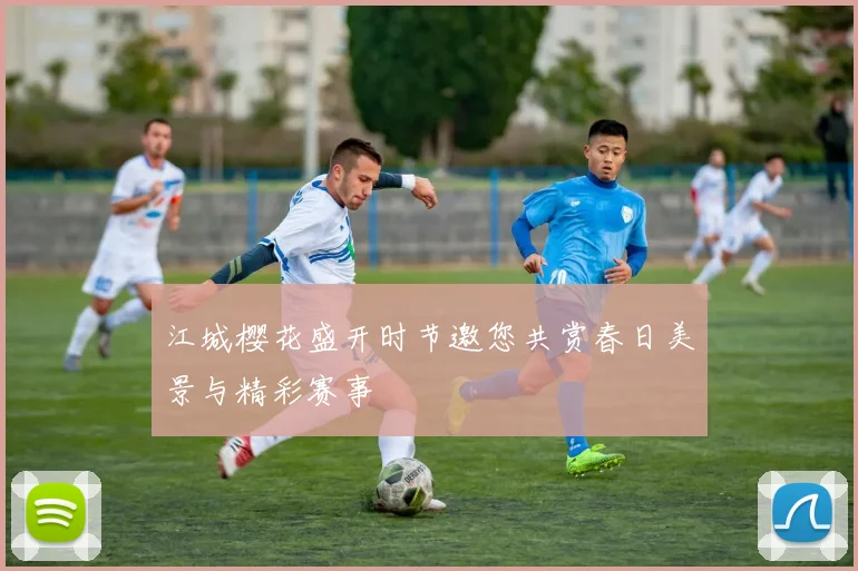 江城樱花盛开时节邀您共赏春日美景与精彩赛事
